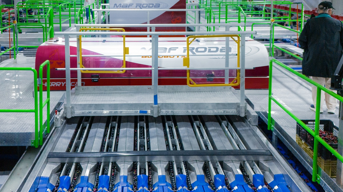 NdP_Fruit Logistica 2026_Cherry Solution.jpg